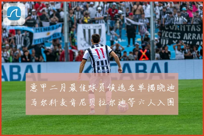 意甲二月最佳球员候选名单揭晓迪马尔科麦肯尼贝拉尔迪等六人入围