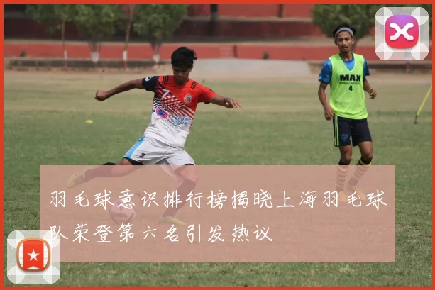 羽毛球意识排行榜揭晓上海羽毛球队荣登第六名引发热议