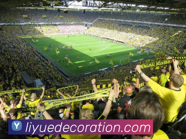 星空平台生态图